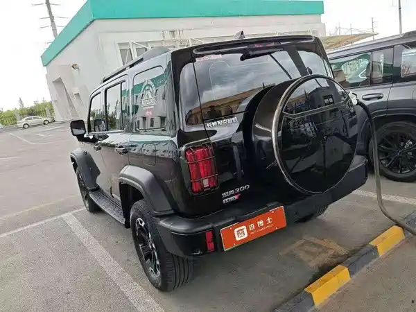 Tank 300 New Energy 2025