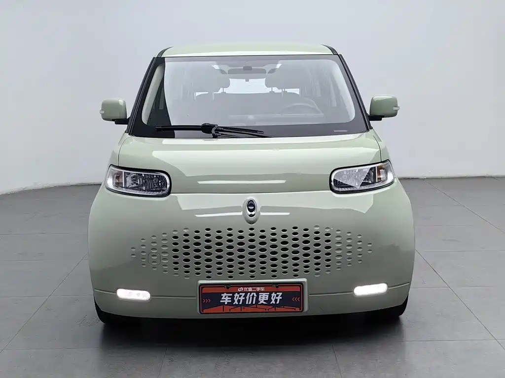 Ora White Cat 2021
