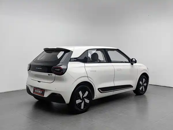 Dongfeng Nano 01 2024