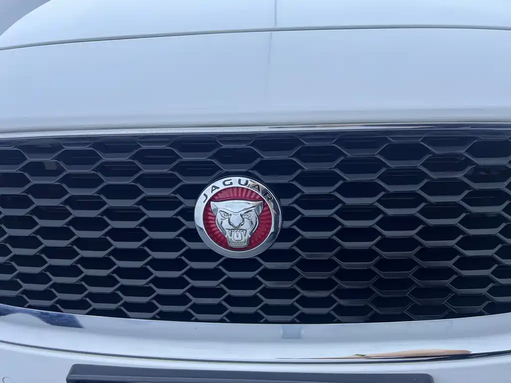 Jaguar E-PACE 2020 — фото 27