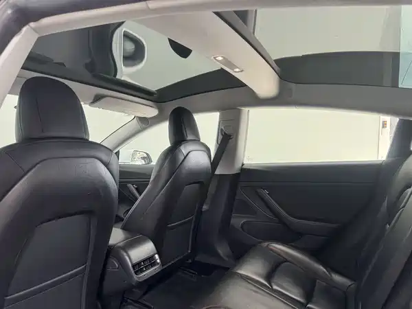 Tesla Model 3 2019