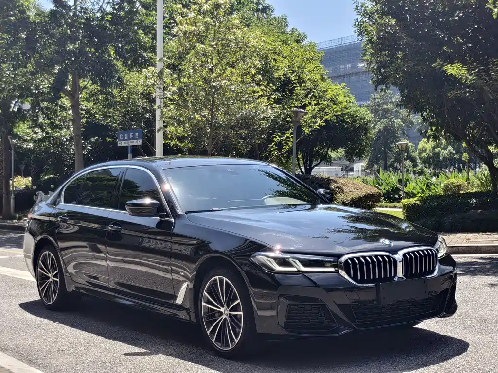 BMW 5 Series 2022