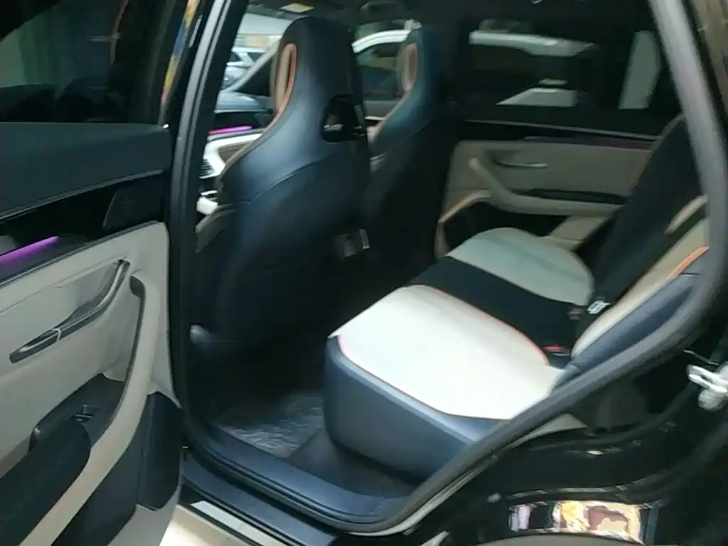 BYD PLUS New Energy 2023 — фото 17
