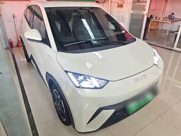 BYD Seagull 2024