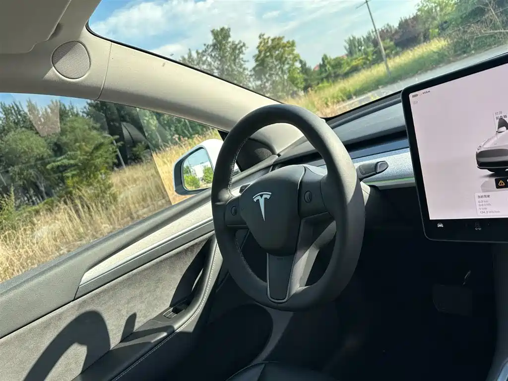 Tesla Model Y 2024 — фото 18