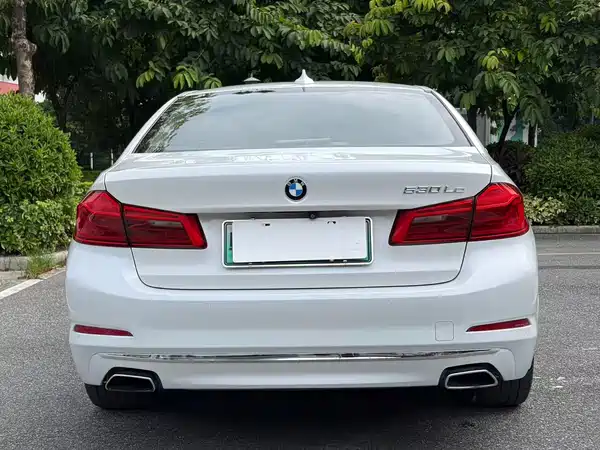 BMW 5 Series New Energy 2018