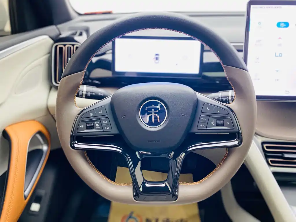 BYD Pro New Energy 2024 — фото 9