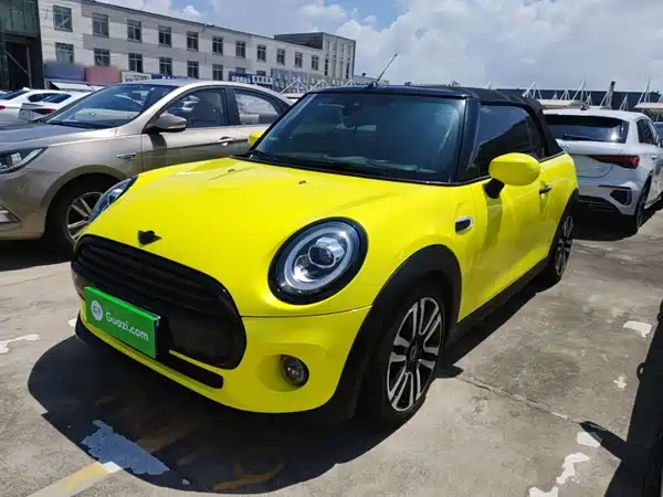 MINI 2019