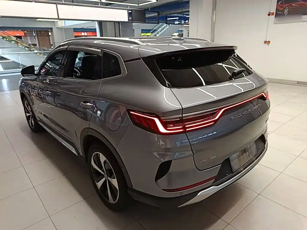BYD PLUS New Energy 2022 — фото 5