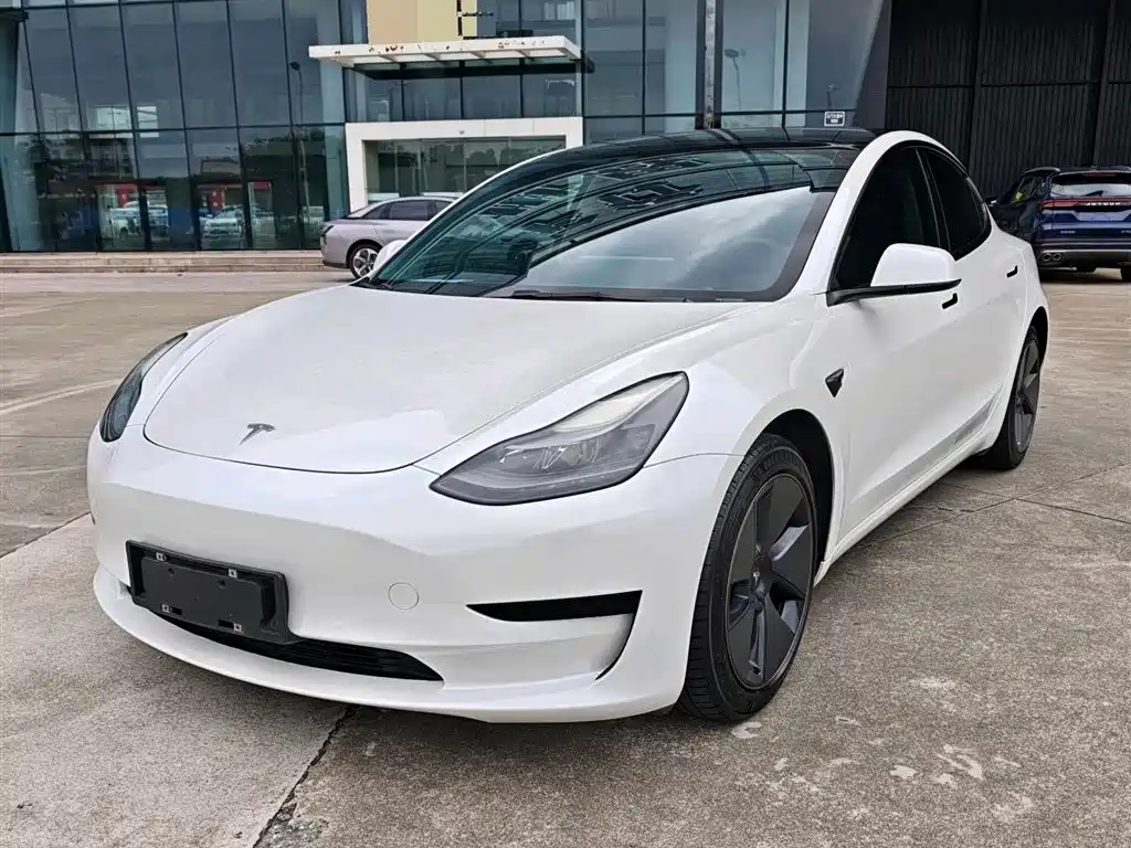 Tesla Model 3 2021 — фото 1