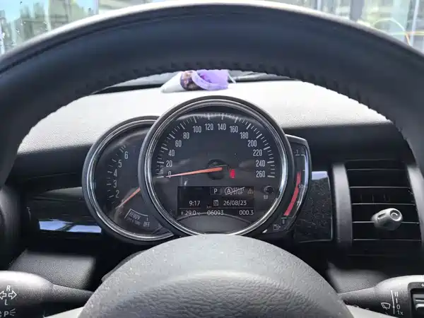 MINI MINI 2020