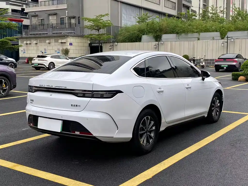 BYD Destroyer 05 2023 — фото 10