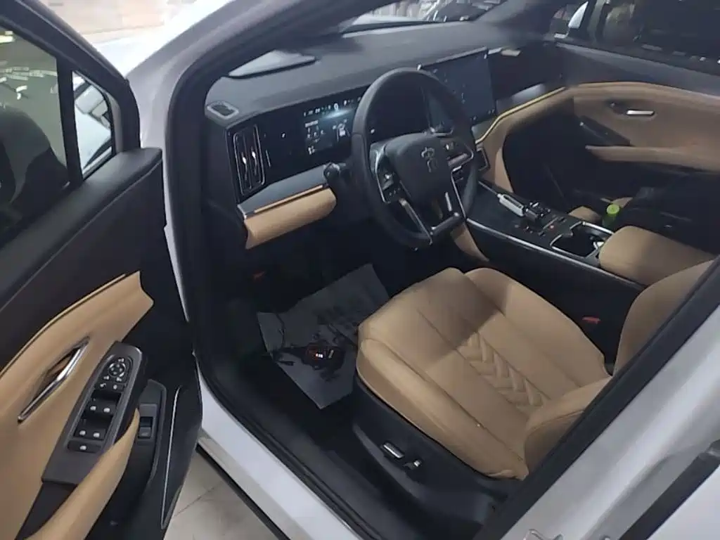 BYD L DM-i 2024 — фото 16