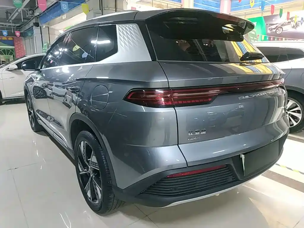 BYD Pro New Energy 2024 — фото 5