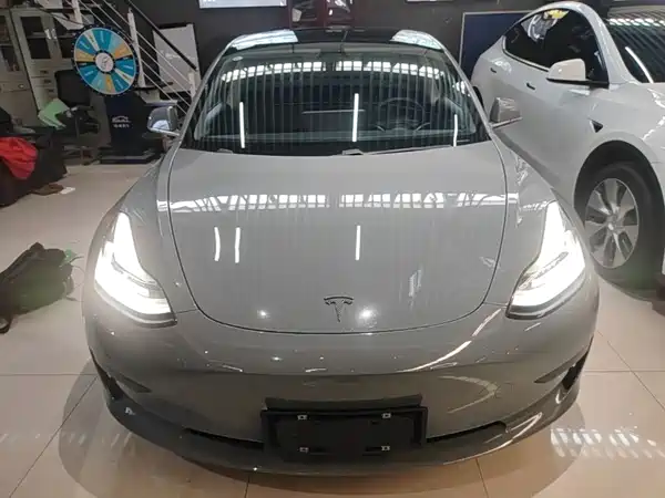 Tesla Model 3 2019
