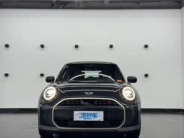 MINI MINI 2025