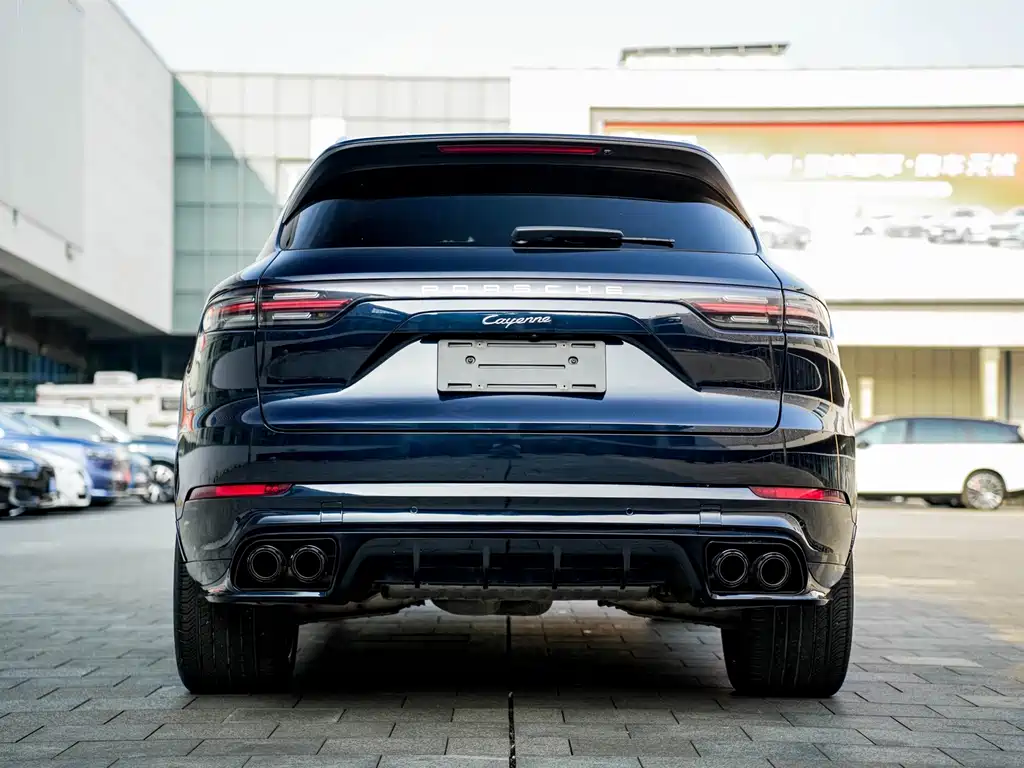 Porsche Cayenne 2022 — фото 18