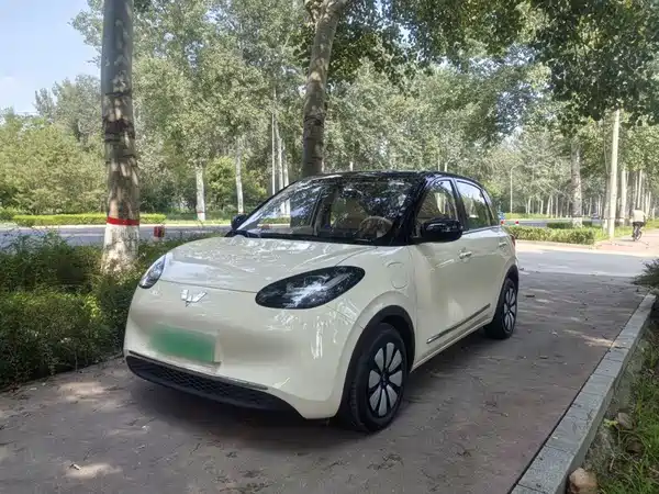 Wuling Bingo 2026