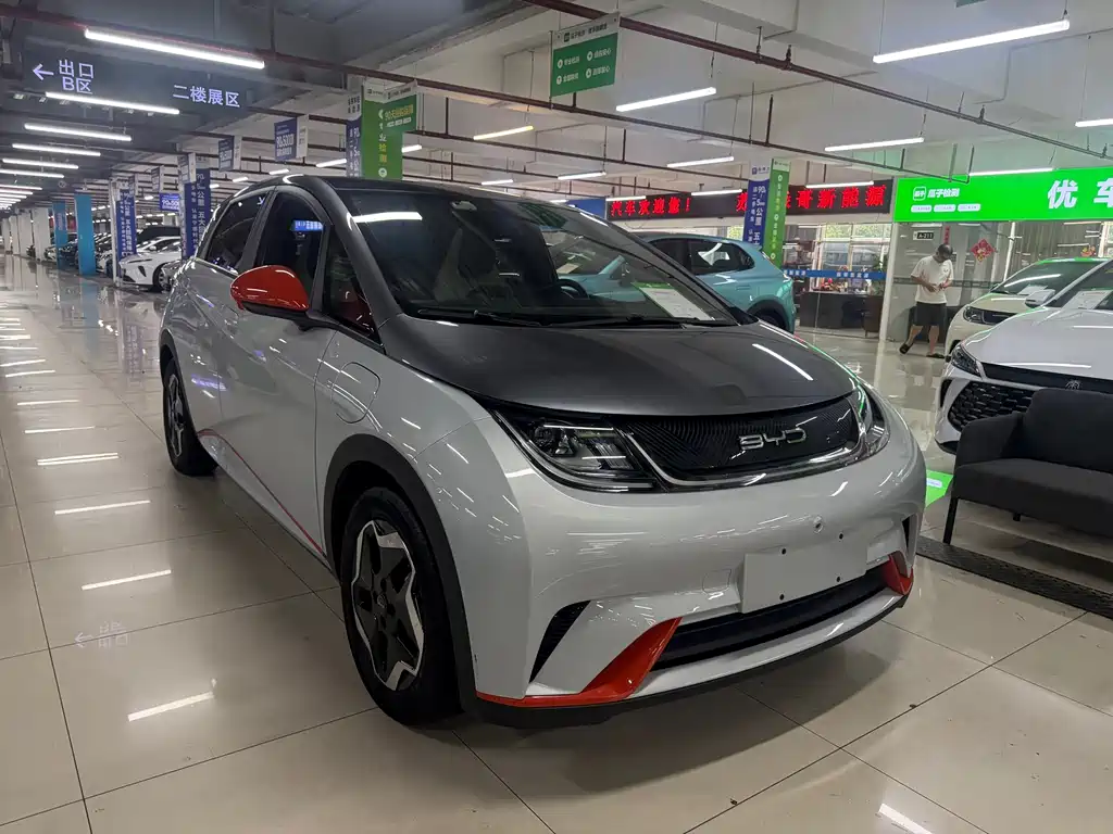BYD Dolphin 2022