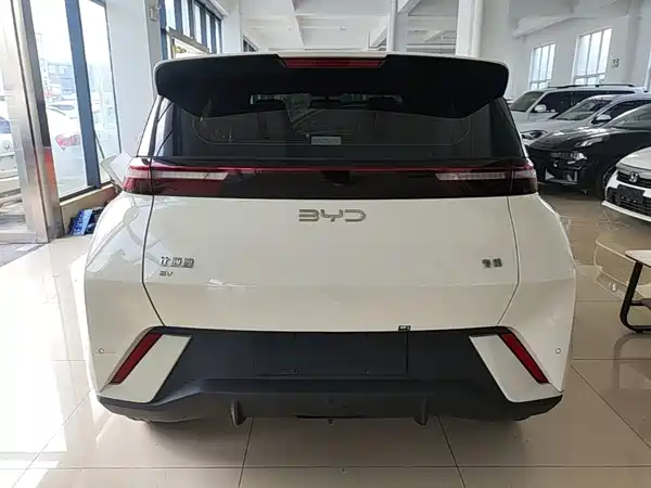 BYD Seagull 2024