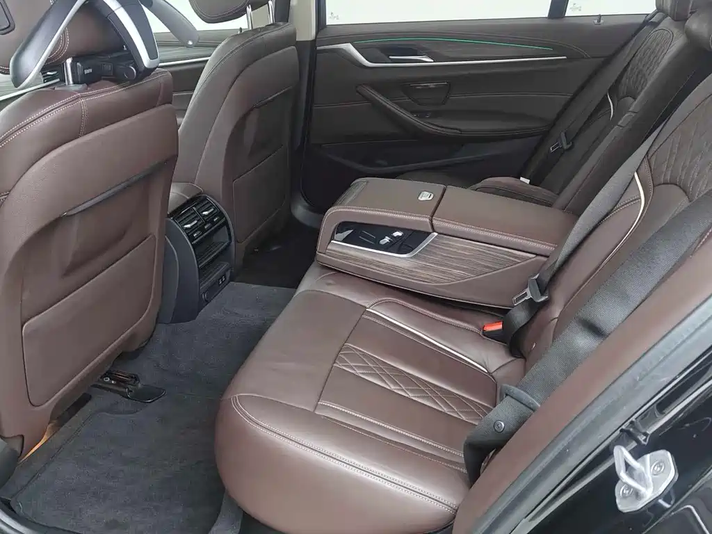 BMW 5 Series New Energy 2020