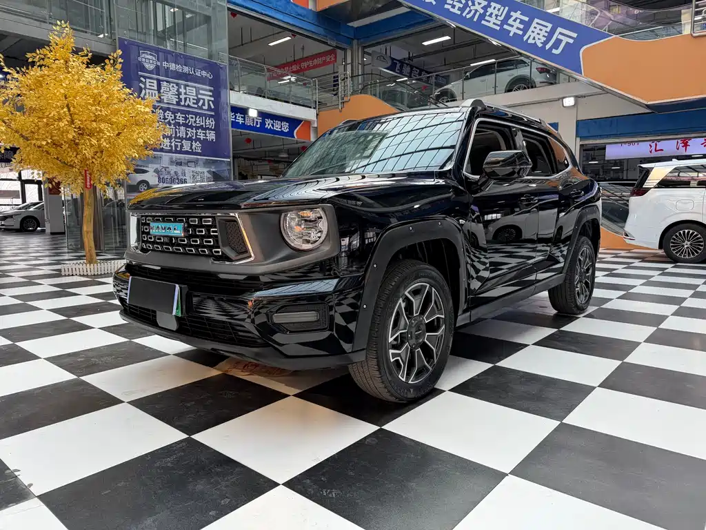 Haval Dargo PLUS EV 2024