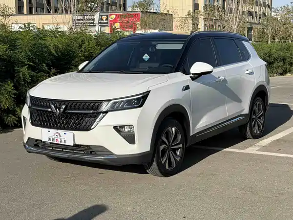 Wuling Star 2023