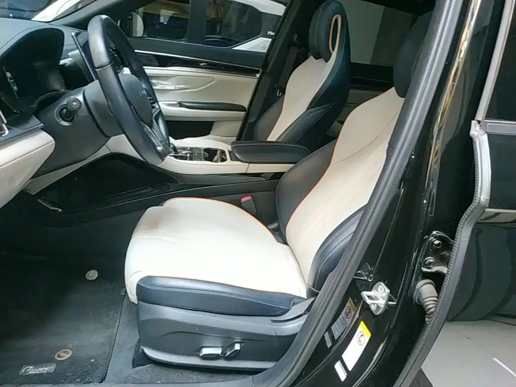 BYD PLUS New Energy 2023 — фото 15