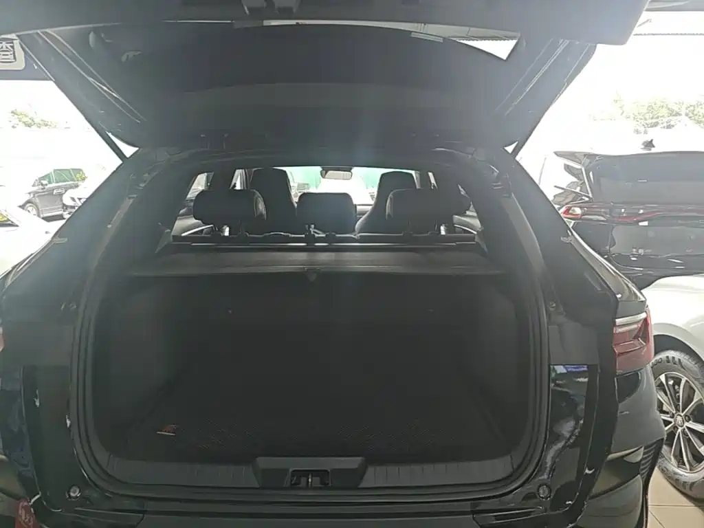 BYD Song PLUS New Energy 2021 — фото 19