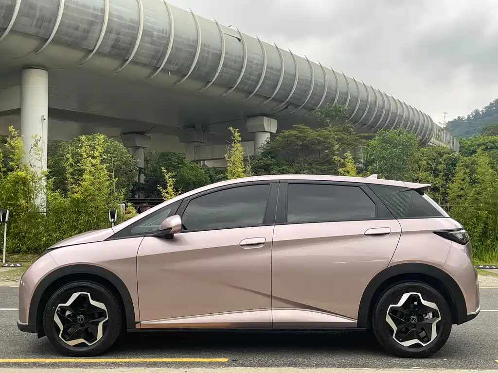 BYD Dolphin 2022 — фото 4