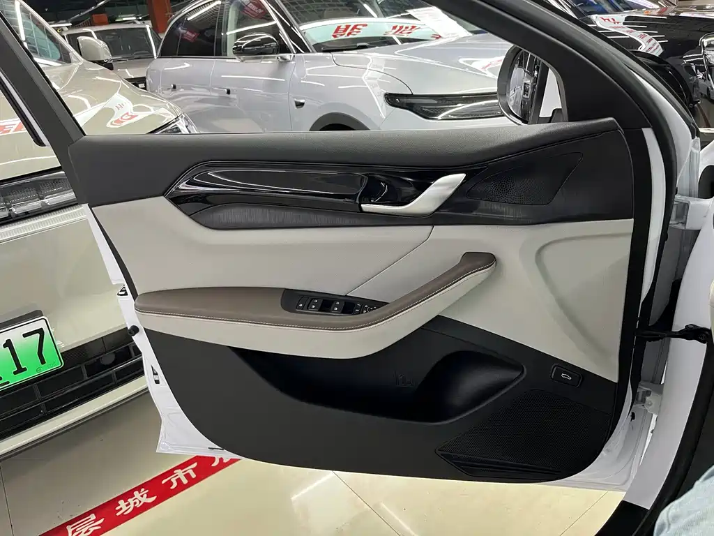 BYD Qin PLUS 2024 — фото 14