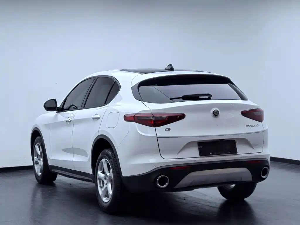 Alfa Romeo Stelvio 2019 — фото 22