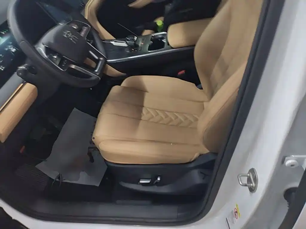 BYD L DM-i 2024 — фото 15