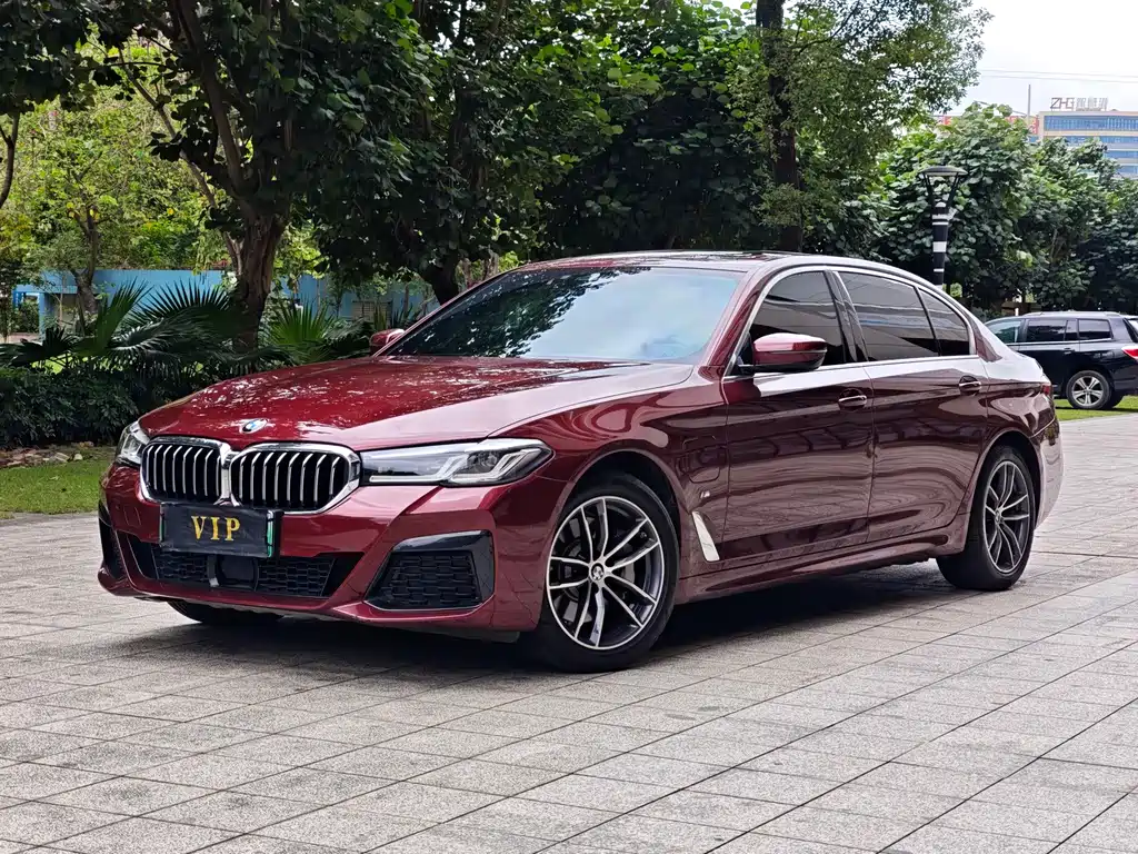 BMW 5 Series New Energy 2021 — фото 1