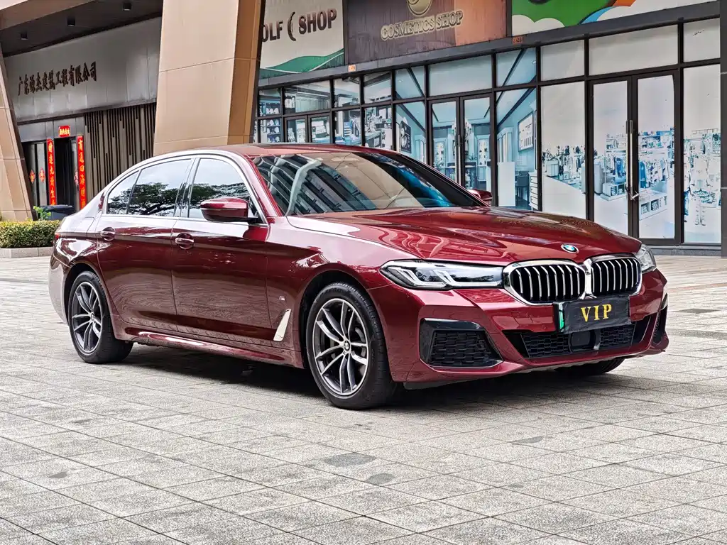 BMW 5 Series New Energy 2021 — фото 3