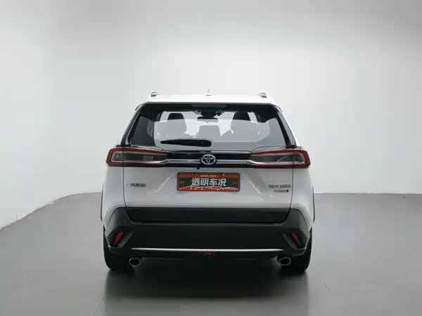 Toyota Wildlander 2020