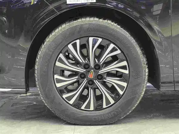 Hongqi HQ9 PHEV 2024