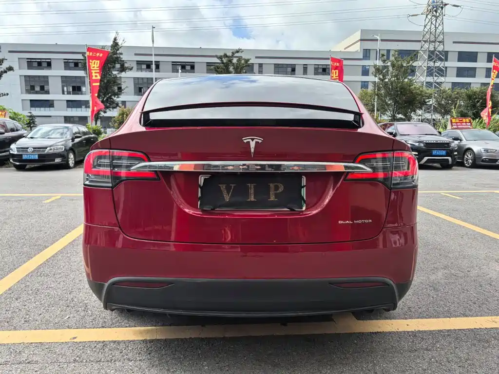 Tesla Model X 2021 — фото 9