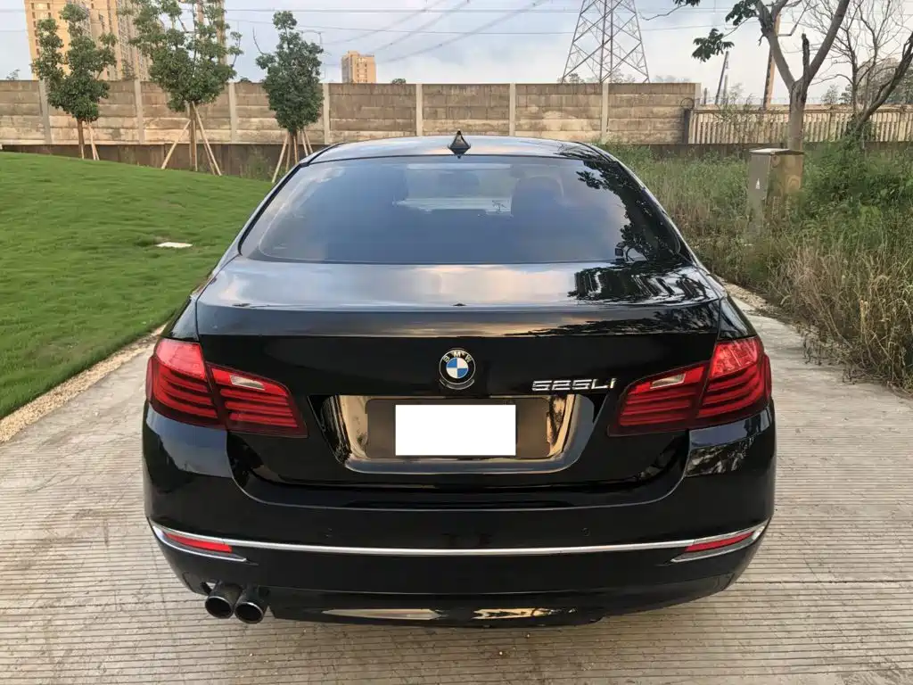 BMW 5 Series 2016 — фото 13