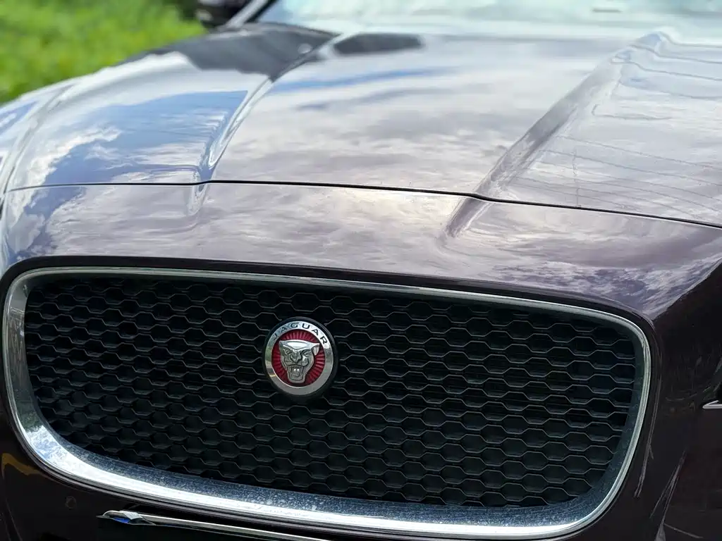 Jaguar XFL 2018 — фото 10