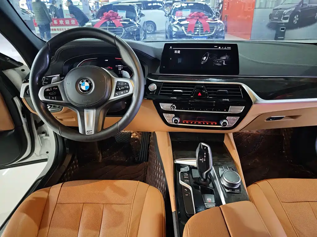 BMW 5 Series 2020 — фото 14