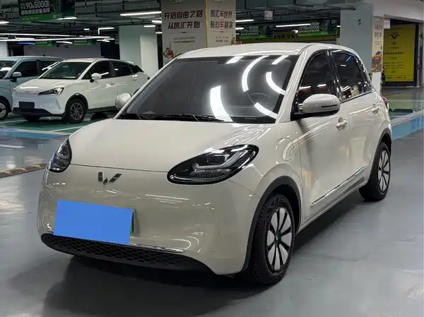 Wuling Bingo 2024