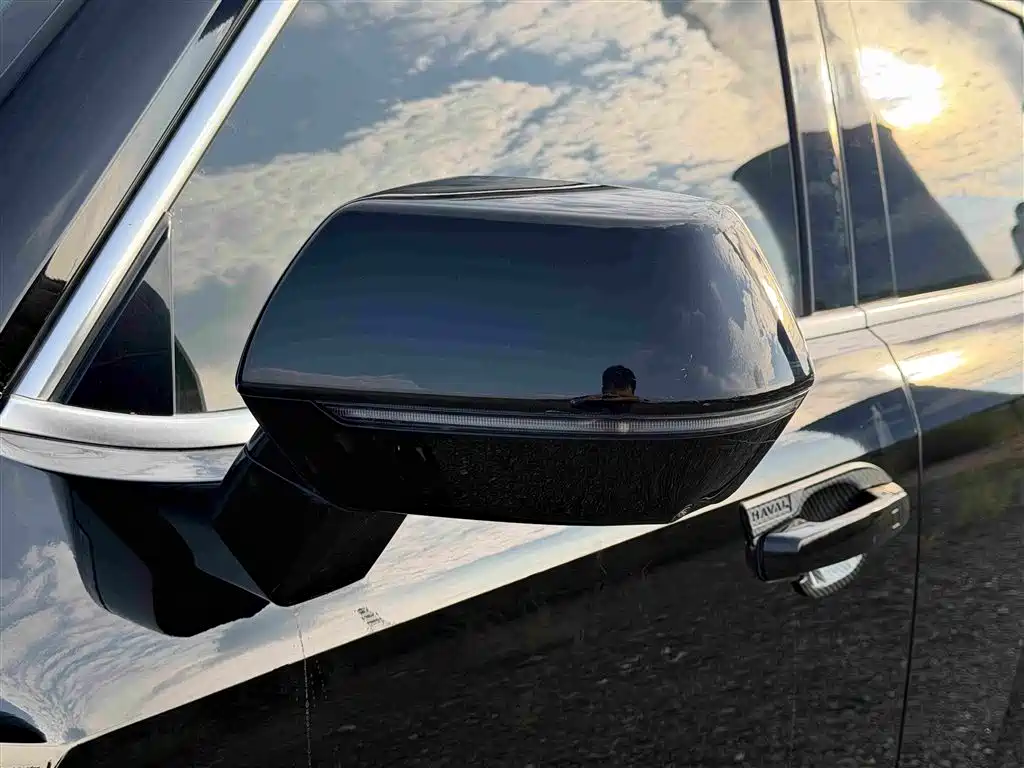 Haval Big Dog PLUS New Energy 2023 — фото 15