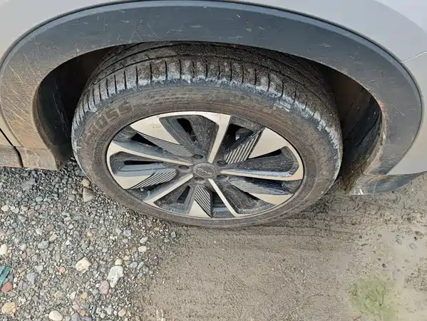 BYD Song PLUS New Energy 2025