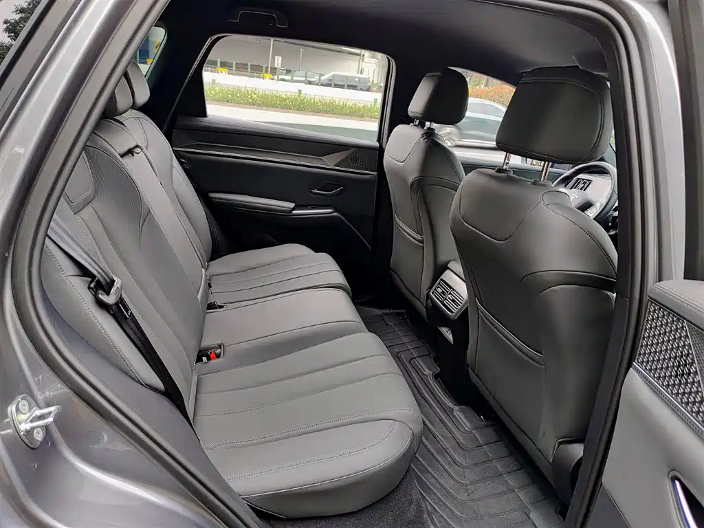 BYD Pro New Energy 2025 — фото 11