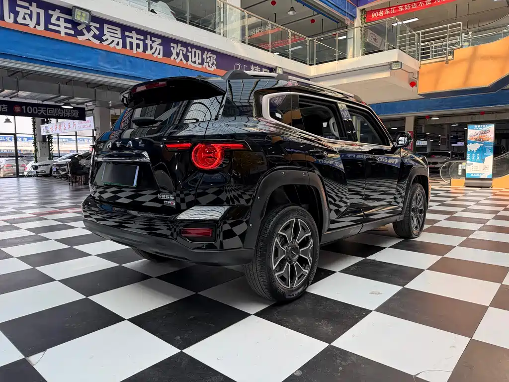 Haval Dargo PLUS EV 2024 — фото 18