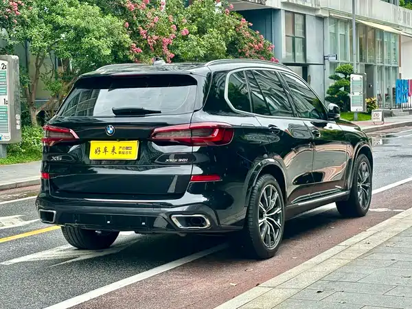 BMW X5 2021
