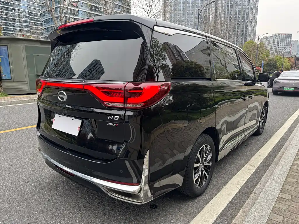 GAC Motor Trumpchi M8 2021 — фото 6