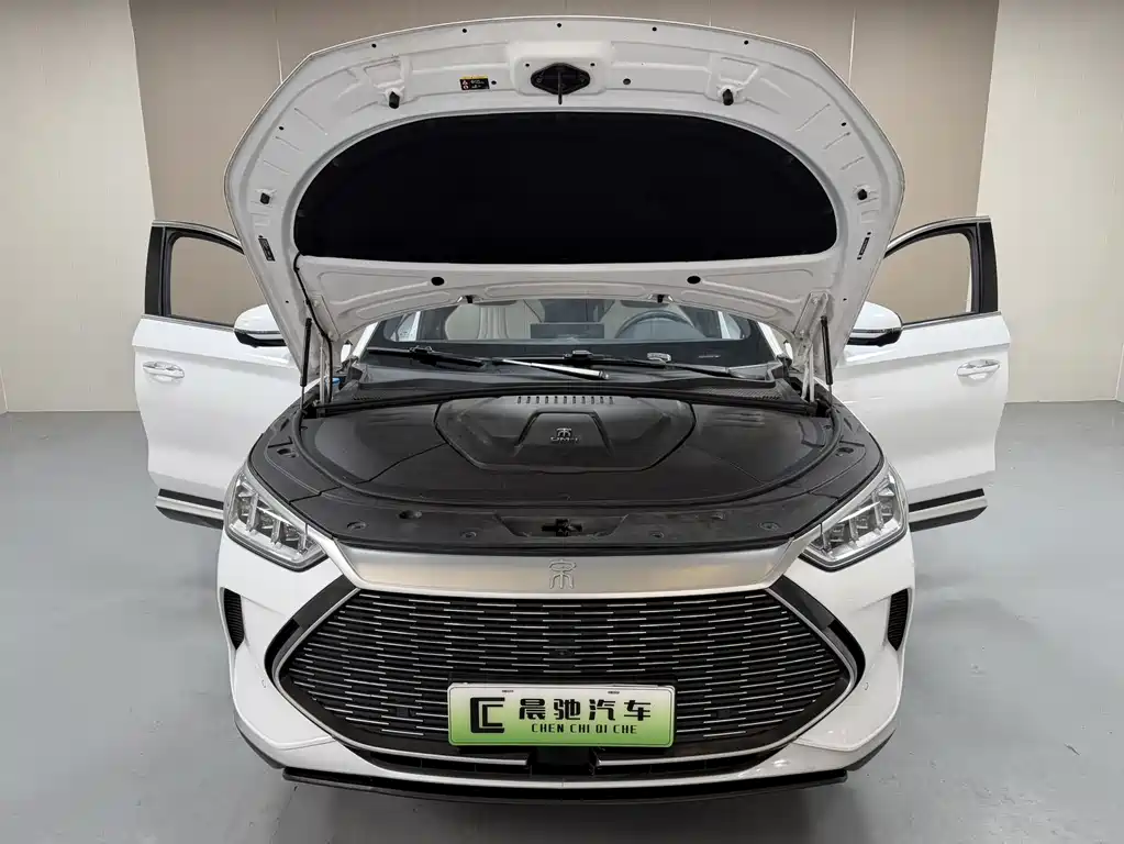 BYD PLUS New Energy 2022 — фото 15