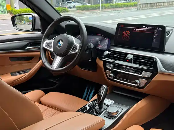 BMW 5 Series 2021
